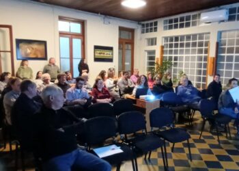 Exitosa Capacitación sobre Autogestión de Plataformas SENASA y Guías Municipales