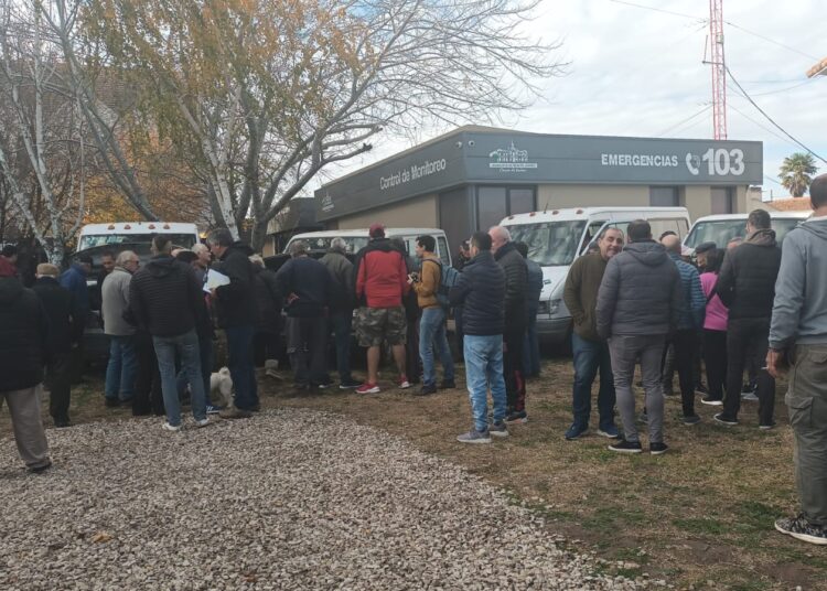 Subasta Pública | El municipio vendió la totalidad del lote de vehículos usados