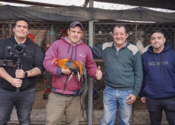El Centro Avícola Juárez integrará un documental sobre avicultura nacional