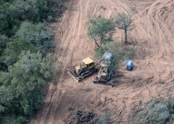 Preocupación por el aumento de los desmontes en el norte del país