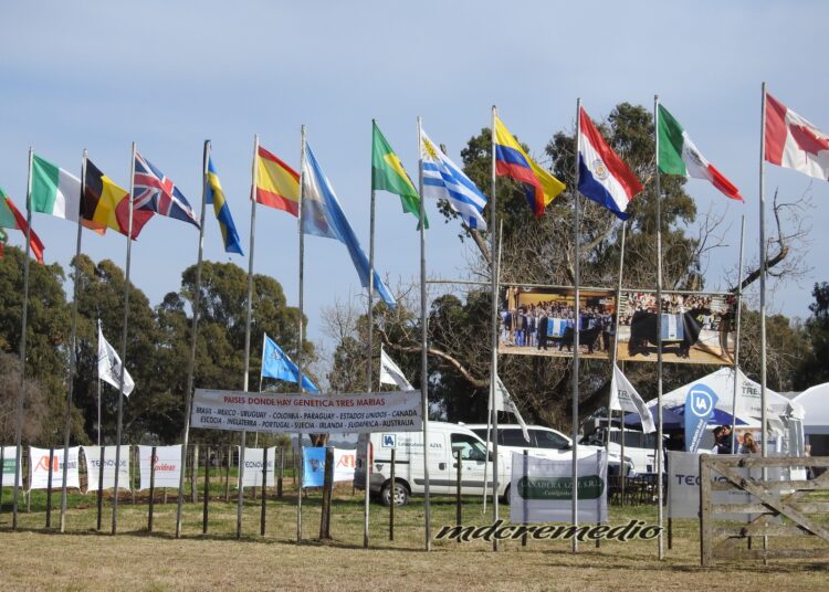 Don Horacio Gutierrez y cabaña Tres Marias, emblema de la ganadería argentina