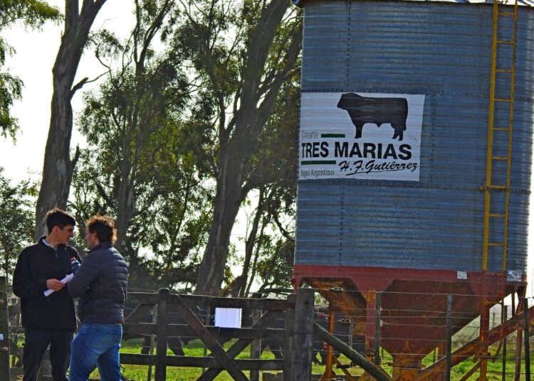 Don Horacio Gutierrez y cabaña Tres Marias, emblema de la ganadería argentina
