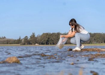 Siembra de 60.000 huevos de pejerrey en la Laguna San Antonio