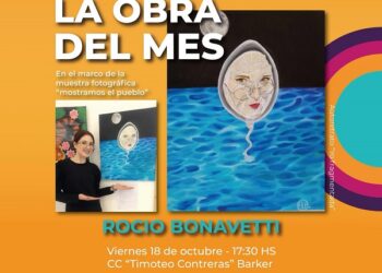 LA OBRA DEL MES, «Yo fragmentada» de Rocio Bonavetti.