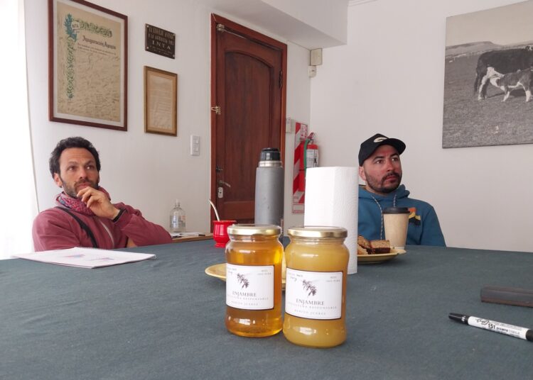 Se realizó la jornada práctica del curso de Iniciación Apícola