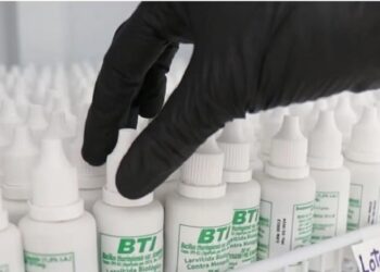 Provincia distribuirá un larvicida biológico para enfrentar al mosquito del dengue