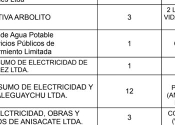 La Cooperativa Eléctrica de Juárez entre las empresas imputadas por el gobierno nacional