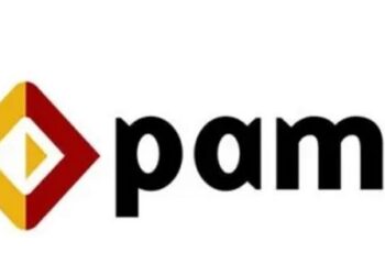 PAMI alerta sobre nuevas estafas virtuales a jubilados