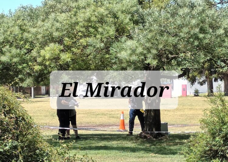Se realizan pericias en el Parque 9 de Julio