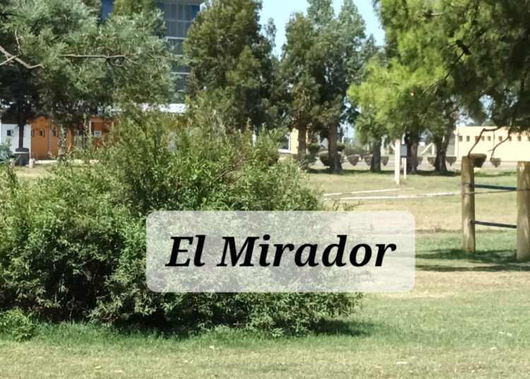 Se realizan pericias en el Parque 9 de Julio