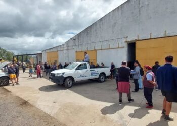 Subasta Pública Nº01/25 | Se vendieron 16 lotes y recaudaron más de $60 Millones