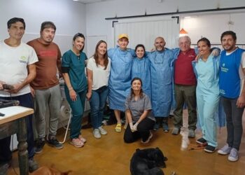 Se realizó la primera Jornada Masiva de Castraciones 2025