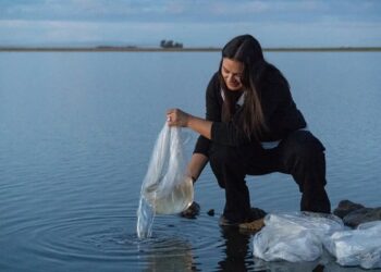 Importante siembra de alevinos de pejerrey en la Laguna San Antonio