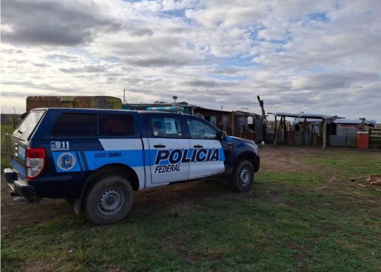 La Policía Federal llevo a cabo el recaste de una persona en un campo de Benito Juarez