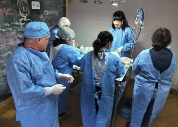 Más de 40 intervenciones gratuitas en la última Jornada Masiva de Castraciones