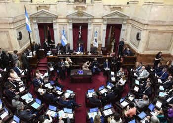 El Senado convirtió en ley el financiamiento universitario.
