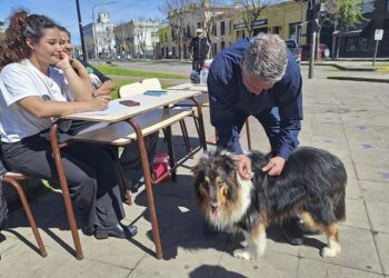#DMR25 Más de 720 animales inmunizados en todo el distrito