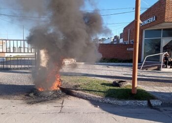 Frigorífico Anselmo presentó la quiebra y deja 100 trabajadores en la calle