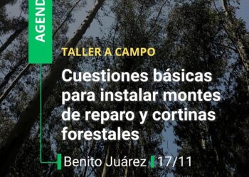 TALLER A CAMPO: CUESTIONES BÁSICAS PARA INSTALAR MONTES DE REPARO Y CORTINAS FORESTALES