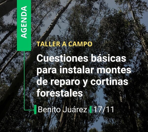 TALLER A CAMPO: CUESTIONES BÁSICAS PARA INSTALAR MONTES DE REPARO Y CORTINAS FORESTALES
