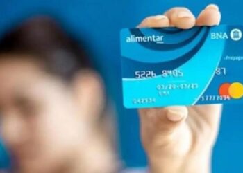 ANSES confirmó los montos de la Tarjeta Alimentar para noviembre 2025