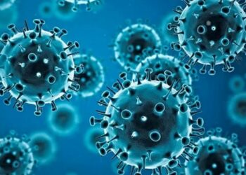 Alerta sanitaria por un caso de la gripe H3N2 en Chile: temen que el virus llegue a Argentina