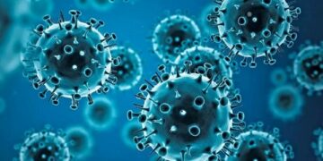 Alerta sanitaria por un caso de la gripe H3N2 en Chile: temen que el virus llegue a Argentina