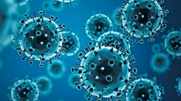 Alerta sanitaria por un caso de la gripe H3N2 en Chile: temen que el virus llegue a Argentina