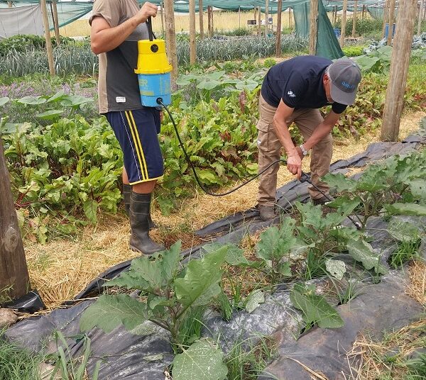 “I.N.T.A.”-Unidad Productiva Hortícola de la Cooperativa El Exilio