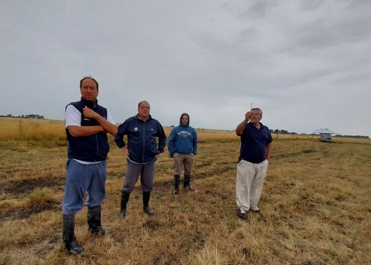 Actividades del INTA Benito Juárez
