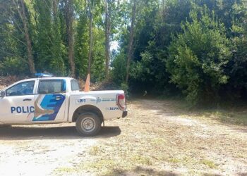 Hallaron sin vida a un joven en el Parque Municipal de Azul