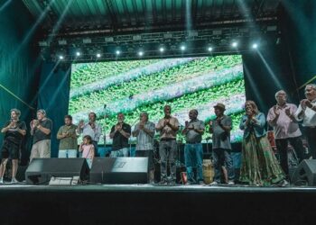 Más de 20 mil personas en la Fiesta Provincial de la Frambuesa