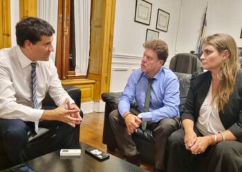 Desde la UCR trabajan por la implementación de la Boleta Única en la Provincia