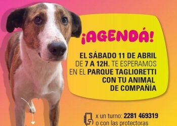 Iº JMC.26   JORNADA MASIVA DE CASTRACIONES