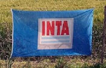 Avanza el ajuste en el INTA: cierran 14 agencias