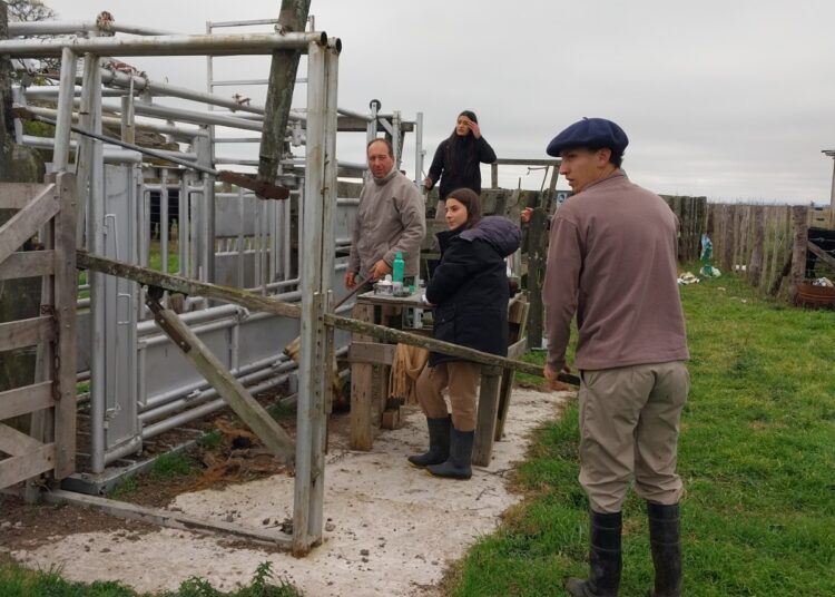 Se inició una nueva etapa de trabajo en el sitio experimental demostrativo instalado en el predio Zibechi
