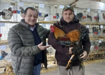 El intendente acompañó la 67ª edición de la Expo Avícola Benito Juárez