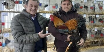El intendente acompañó la 67ª edición de la Expo Avícola Benito Juárez