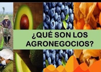 La Sociedad Rural y la Universidad Austral realizan jornada en Tandil