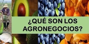 La Sociedad Rural y la Universidad Austral realizan jornada en Tandil