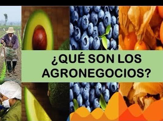 La Sociedad Rural y la Universidad Austral realizan jornada en Tandil