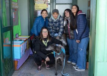 La Dirección de Bromatología impulsa un programa de adopción responsable