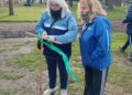 Etapa Local – ADULTOS MAYORES- “ORIENTACION”