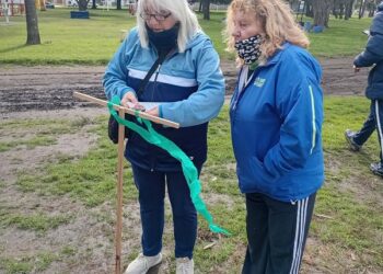 Etapa Local – ADULTOS MAYORES- “ORIENTACION”